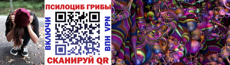 Псилоцибиновые грибы прущие грибы  Ужур 