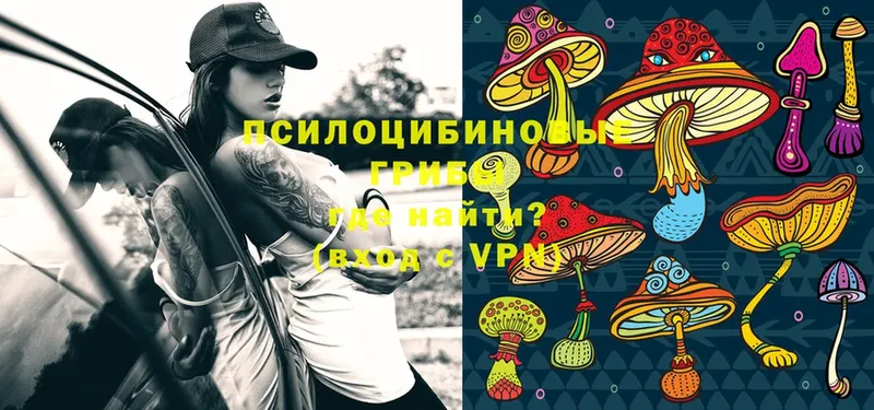 Галлюциногенные грибы MAGIC MUSHROOMS  Ужур 